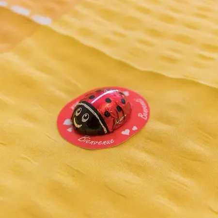 Apartamento Mitterer Saalbach-Hinterglemm