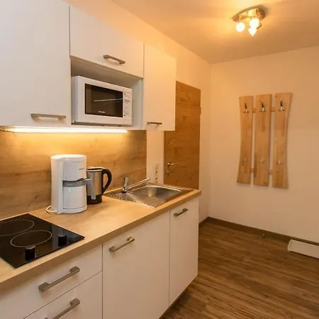 Mitterer Apartamento Saalbach-Hinterglemm