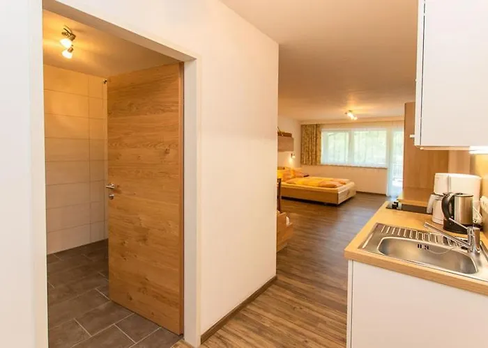 Mitterer * Saalbach Hinterglemm